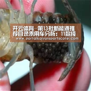 KAIYUN入口