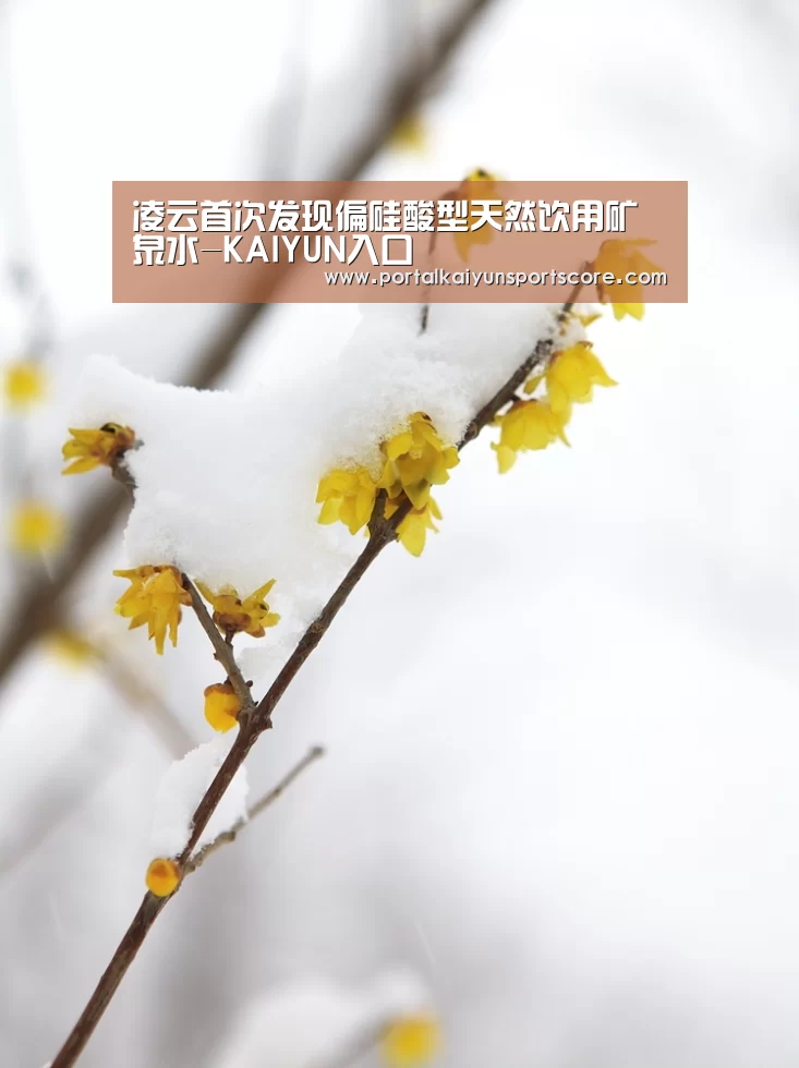 凌云首次发现偏硅酸型天然饮用矿泉水-KAIYUN入口(图1) 开云体育