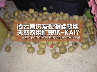 凌云首次发现偏硅酸型天然饮用矿泉水-KAIYUN入口(图3) 开云热门赛事