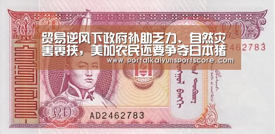 贸易逆风下政府补助乏力、自然灾害裹挟,美加农民还要争夺日本猪肉市场|KAIYUN入口(图3) 开云体育首页