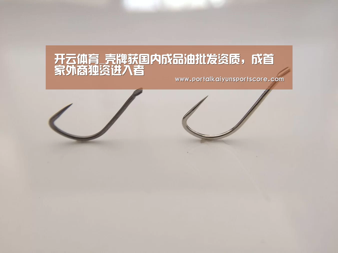 开云体育_壳牌获国内成品油批发资质,成首家外商独资进入者(图1) 开云体育