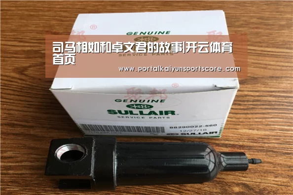司马相如和卓文君的故事|开云体育首页(图1) KAIYUN入口