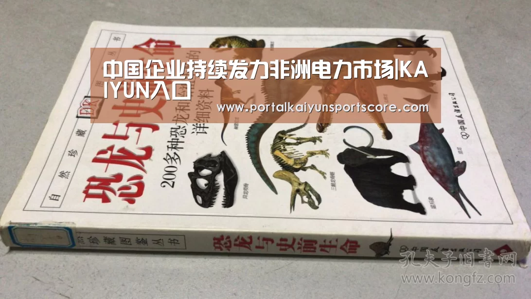 KAIYUN入口